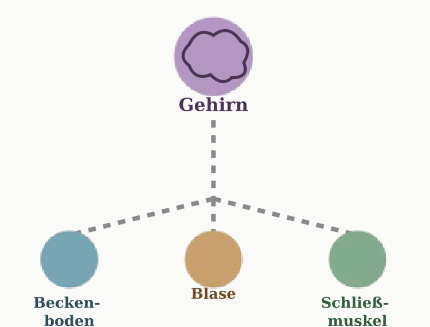 tl_files/standard/bilder/Veranstaltungen/2026/Inkoninenz.png tl_files/standard/bilder/Veranstaltungen/2026/Inkoninenz.png